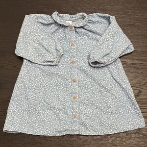 next Blue Ditsy Floral Button-Front Ruffle Collar Soft Denim Dress